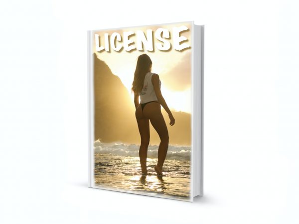 Video License (1 month)